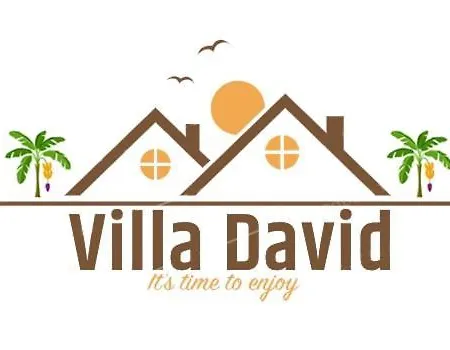 别墅 David 大加那利岛拉斯帕尔马斯